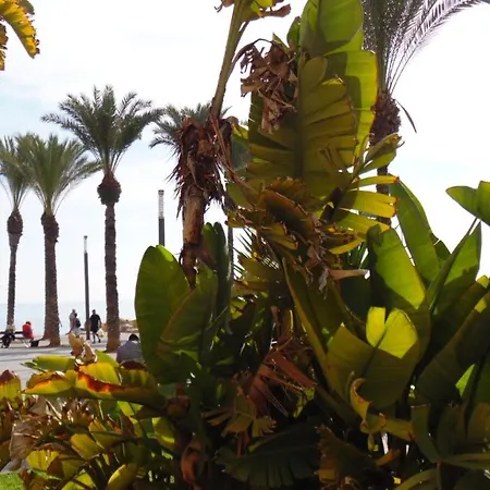 Διαμέρισμα Moriones A. A150 M Del Mar En Centro De Ciudad Τορεβιέχα